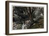 Jesus Went Out into a Desert Place, Illustration for 'The Life of Christ', C.1884-96-James Tissot-Framed Giclee Print