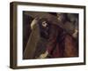 Jesus with the Crucifix-Titian (Tiziano Vecelli)-Framed Giclee Print