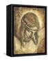 Jesus-Tina Chaden-Framed Stretched Canvas