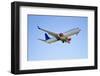 Jet Airplane-PinkBadger-Framed Photographic Print