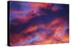Jet Among Clouds at Sunset-null-Stretched Canvas
