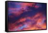 Jet Among Clouds at Sunset-null-Framed Stretched Canvas