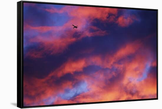 Jet Among Clouds at Sunset-null-Framed Stretched Canvas