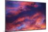 Jet Among Clouds at Sunset-null-Mounted Photographic Print