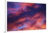 Jet Among Clouds at Sunset-null-Framed Photographic Print