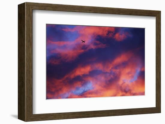 Jet Among Clouds at Sunset-null-Framed Photographic Print