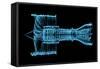 Jet Engine Turbine (3D Xray Blue Transparent)-sauliusl-Framed Stretched Canvas