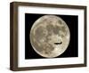 Jet is Silhouetted on the Full Moon in St. Petersburg, Russia-null-Framed Photographic Print