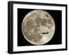 Jet is Silhouetted on the Full Moon in St. Petersburg, Russia-null-Framed Photographic Print