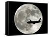 Jet Plane Passes in Front of the Full Moon Above Surfside, Florida-null-Framed Stretched Canvas