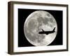 Jet Plane Passes in Front of the Full Moon Above Surfside, Florida-null-Framed Photographic Print