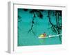 Jet Ski on the Sea at Konnos Beach, Protaras, Cypress-Petros Karadjias-Framed Premium Photographic Print