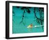 Jet Ski on the Sea at Konnos Beach, Protaras, Cypress-Petros Karadjias-Framed Photographic Print