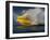 Jet Skier-null-Framed Photographic Print