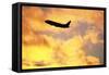 Jet Taking Off from Seatac International Airport-Paul Souders-Framed Stretched Canvas