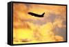 Jet Taking Off from Seatac International Airport-Paul Souders-Framed Stretched Canvas