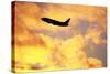 Jet Taking Off from Seatac International Airport-Paul Souders-Stretched Canvas