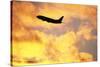 Jet Taking Off from Seatac International Airport-Paul Souders-Stretched Canvas