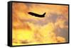 Jet Taking Off from Seatac International Airport-Paul Souders-Framed Stretched Canvas