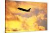 Jet Taking Off from Seatac International Airport-Paul Souders-Stretched Canvas