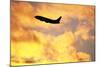 Jet Taking Off from Seatac International Airport-Paul Souders-Mounted Photographic Print