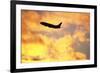 Jet Taking Off from Seatac International Airport-Paul Souders-Framed Photographic Print