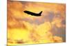 Jet Taking Off from Seatac International Airport-Paul Souders-Mounted Photographic Print