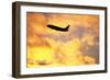 Jet Taking Off from Seatac International Airport-Paul Souders-Framed Photographic Print