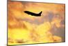 Jet Taking Off from Seatac International Airport-Paul Souders-Mounted Photographic Print