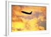 Jet Taking Off from Seatac International Airport-Paul Souders-Framed Photographic Print