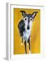 Jet-Sally Muir-Framed Giclee Print