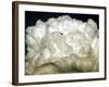 Jetliner Flies into a Cloud Bank as it Descends into the Washington D.C. Area-null-Framed Photographic Print