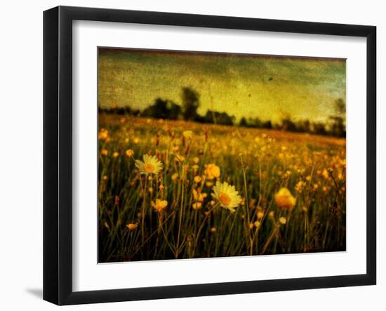 Jetnation-Tim Kahane-Framed Photographic Print