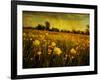 Jetnation-Tim Kahane-Framed Photographic Print