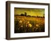 Jetnation-Tim Kahane-Framed Photographic Print