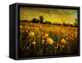 Jetnation-Tim Kahane-Framed Stretched Canvas