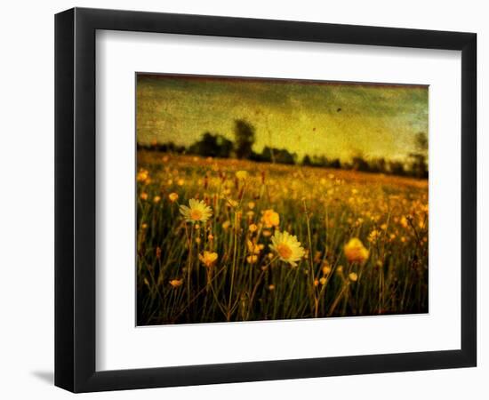 Jetnation-Tim Kahane-Framed Premium Photographic Print