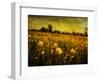 Jetnation-Tim Kahane-Framed Premium Photographic Print