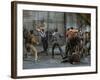 Jets and Sharks Fight, Scene from West Side Story-Gjon Mili-Framed Premium Photographic Print