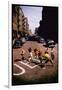 Jets' Dance on Busy Street in Scene from West Side Story-Gjon Mili-Framed Photographic Print