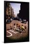 Jets' Dance on Busy Street in Scene from West Side Story-Gjon Mili-Framed Photographic Print