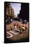 Jets' Dance on Busy Street in Scene from West Side Story-Gjon Mili-Framed Stretched Canvas