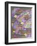 Jetstream, 1998-Sarah Porter-Framed Giclee Print