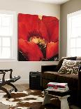 Simple Red I-Jettie Roseboom-Loft Art