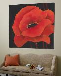 Red Beauty II-Jettie Roseboom-Loft Art