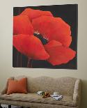 Simple Red II-Jettie Roseboom-Loft Art