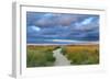 Jetties Beach Path-Katherine Gendreau-Framed Premium Photographic Print