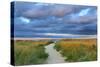 Jetties Beach Path-Katherine Gendreau-Stretched Canvas