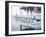Jetty and Hammocks, Caye Caulker, Belize-Russell Young-Framed Premium Photographic Print