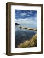 Jetty and Lake Taupo, Braxmere, Tokaanu, near Turangi, North Island, New Zealand-David Wall-Framed Photographic Print